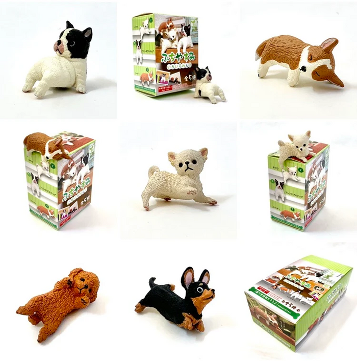 Playful Hanging Dogs Blind Box