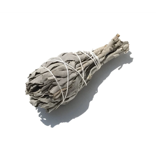Wild White Sage