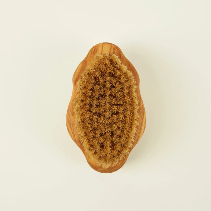 Altesse Studio Vitalis dry body brush for lymphatic drainage
