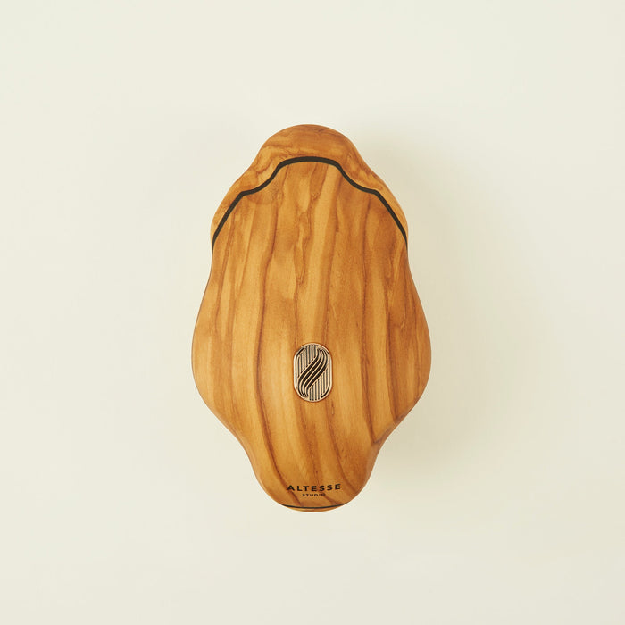Altesse Studio Vitalis dry body brush for lymphatic drainage