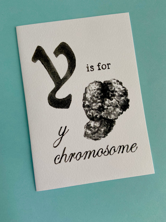 Y