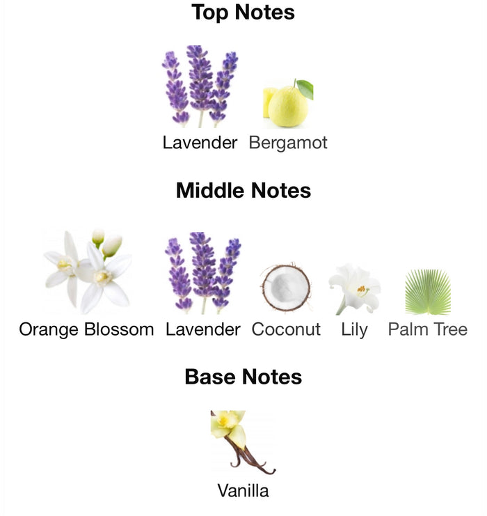 Andromeda’s Inspired by Libre Flower & Flames Eau De Parfum