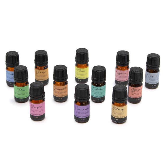 Aromatherapy 12 Essential Oils Gift Set
