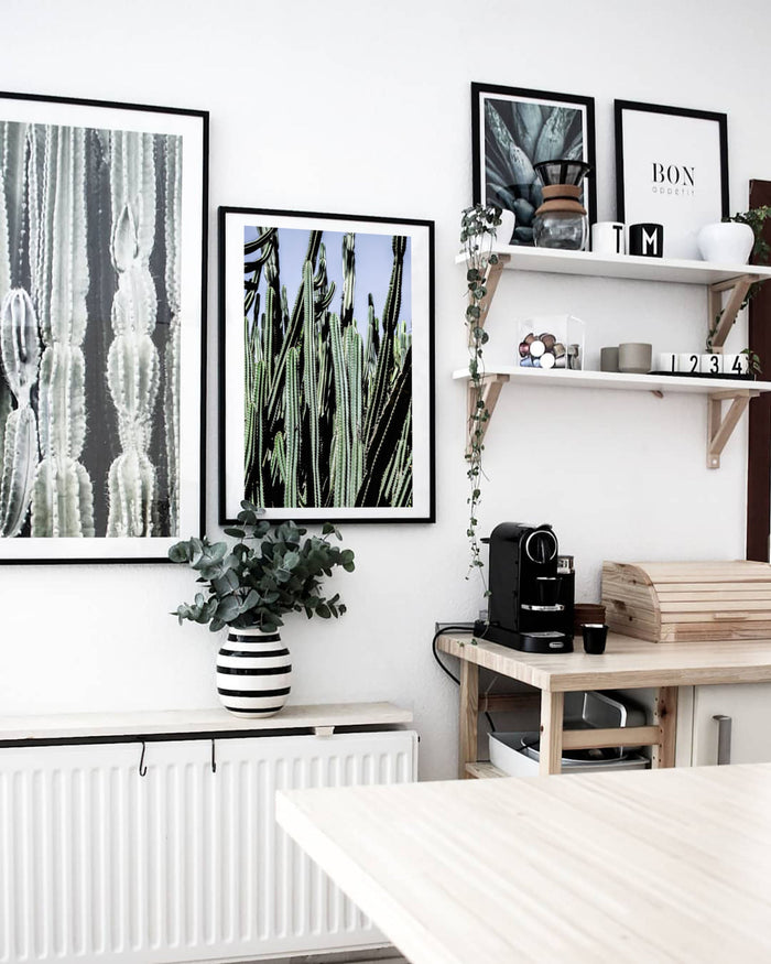 Cacti Photographic Giclèe Print