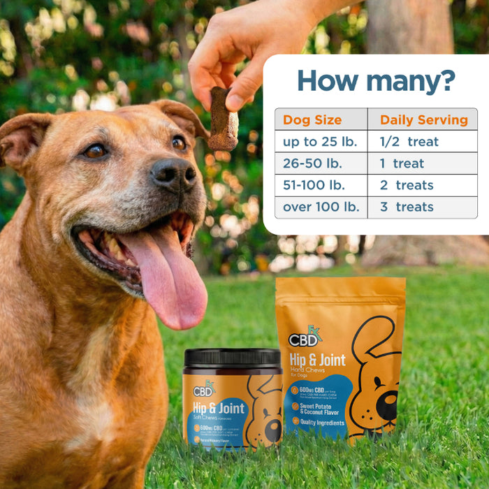 CBD Dog Treats: Hip & Joint Chews