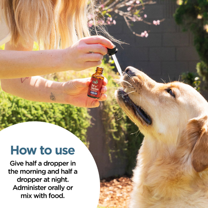 CBD Oil for Dogs - Bacon Flavored - 250 to 2000mg