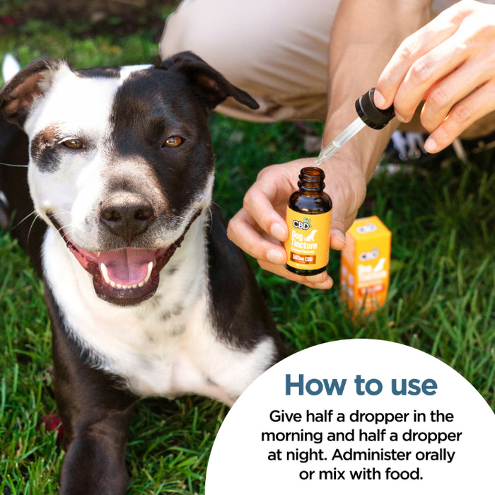 CBD Oil For Dogs - Chicken Flavored - 250 to 2000mg