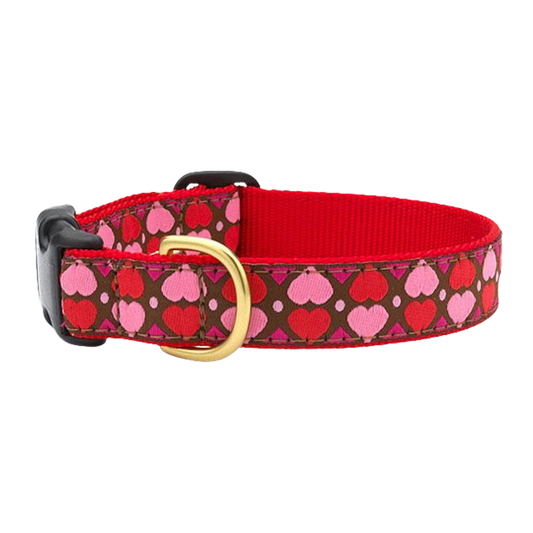 ALL-HEARTS-VALENTINES-DOG-COLLAR