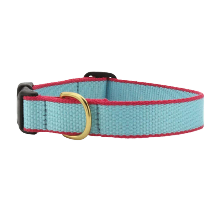 AQUA-CORAL-DOG-COLLAR
