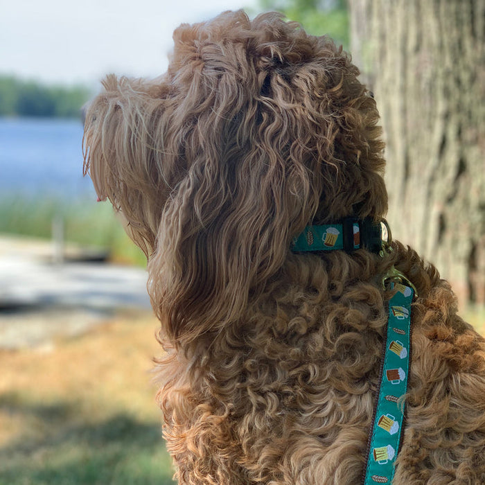 BEER-DOG-COLLAR-LEASH-HARNESS
