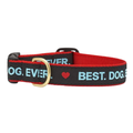 BEST-DOG-EVER-DOG-COLLAR