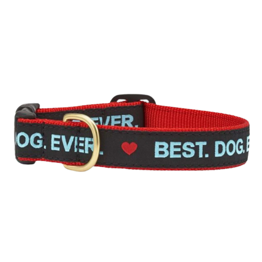 BEST-DOG-EVER-DOG-COLLAR