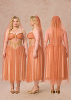 Curve&Plus Sahara Rose Corset Dress