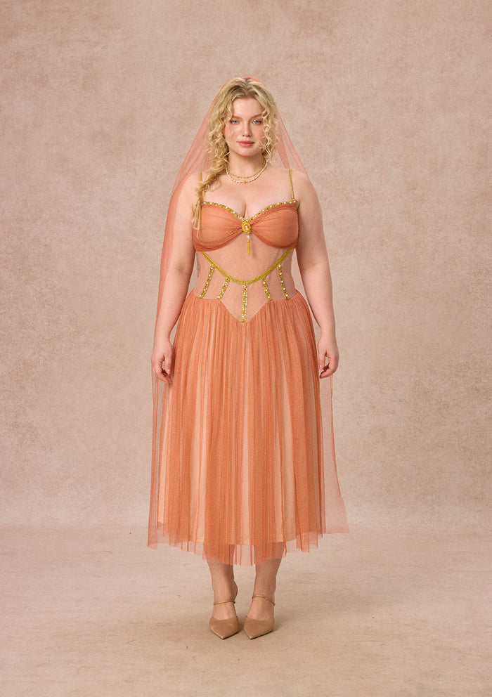 Curve&Plus Sahara Rose Corset Dress