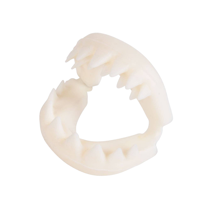 Great White Shark Teeth