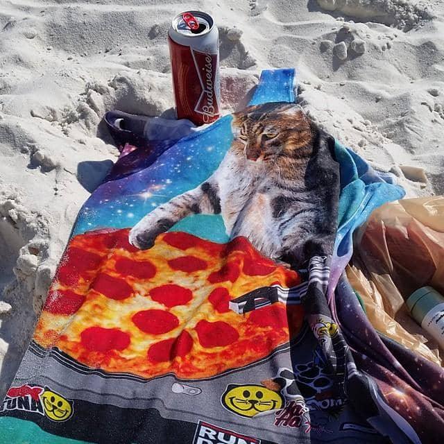 Indie Spacecat Men's Tank - The juxtaposition of the serious photorealistic tabby (#6B5B4F) against the royal galaxy purple (#482668) void, specifically scratching a pepperoni pizza record (#B22222).