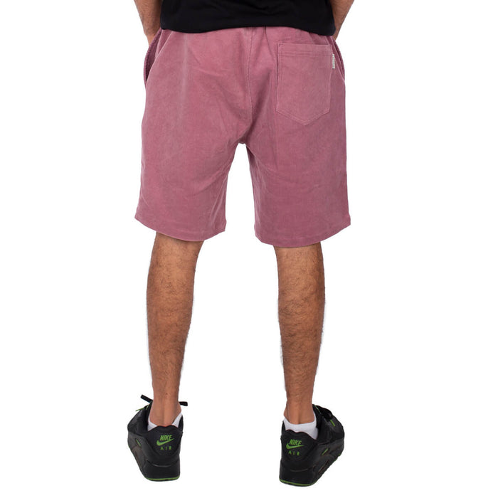 Iriedaily Corvin Short Plum