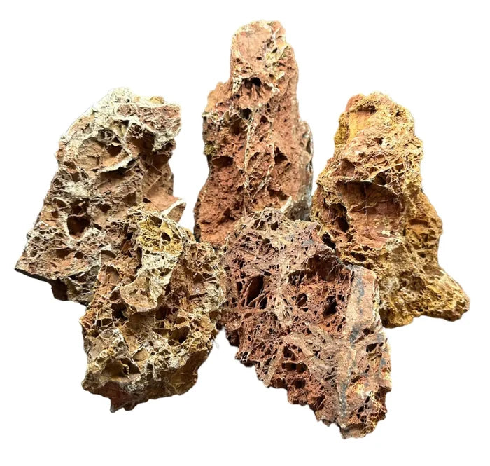 Rust-colored porous Maple Leaf Rock with honeycomb texture