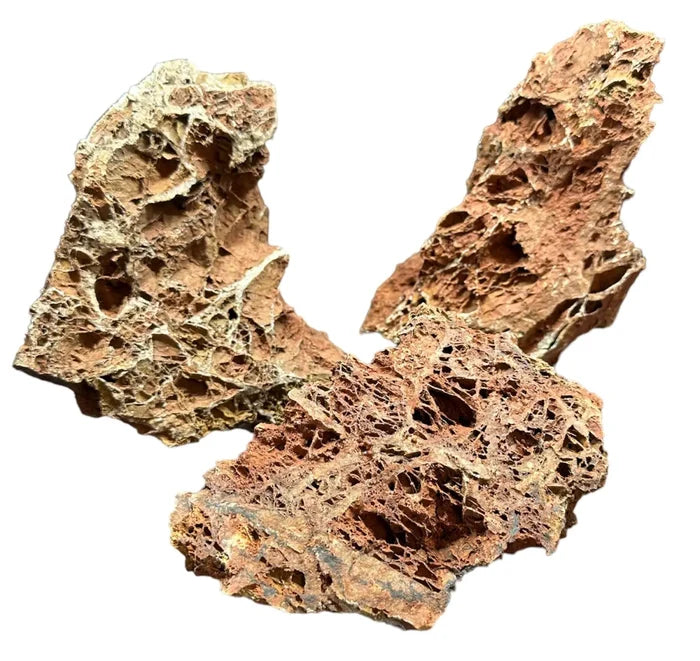Three porous reddish-brown Maple Leaf Rocks with weathered texture