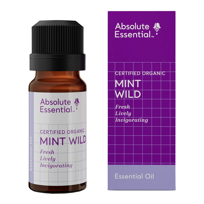 Absolute Essential Mint Wild _1