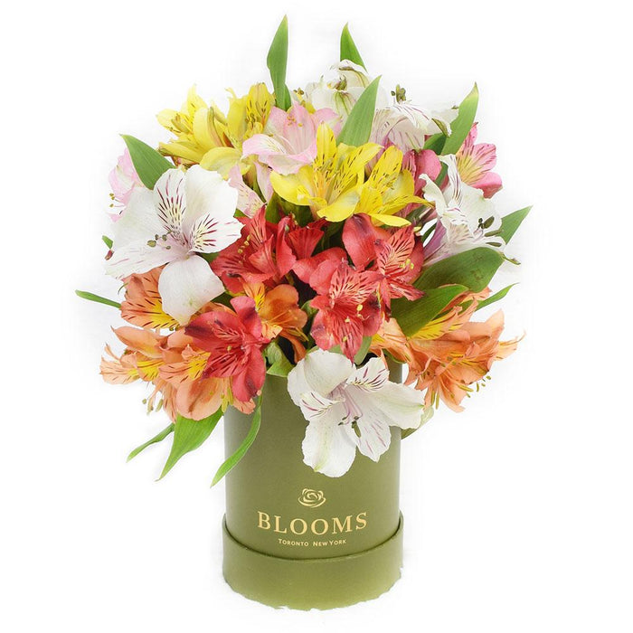 Multi-Hued Alstroemeria and Ruscus Flower Arrangement in Tall Green Hat Box – gift basket with this arrangement includes a selection of multi-hued