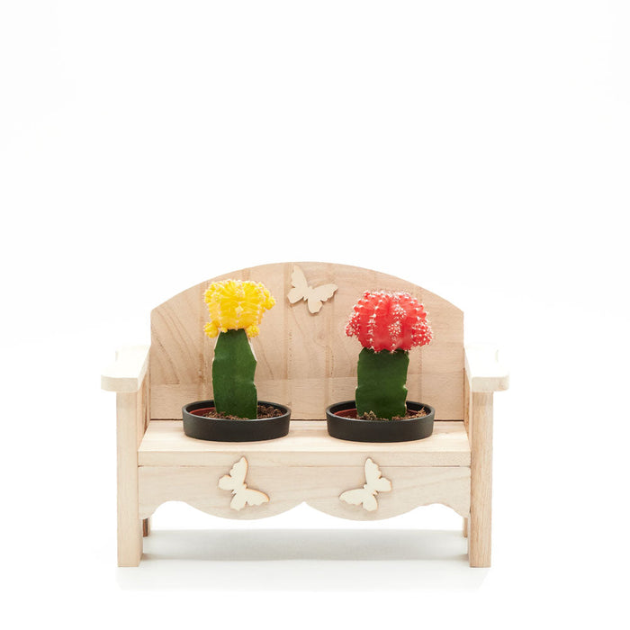 Natural Two-Cactus Arrangement in Wooden Planter Bench – the plant