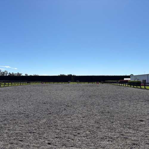 Horse dressage riding arena with a clear blue sky