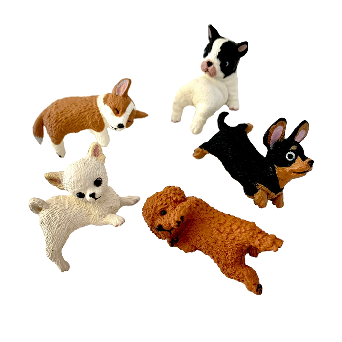 Playful Hanging Dogs Blind Box