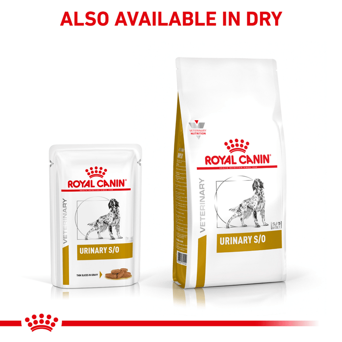 ROYAL CANIN® Canine Urinary S/O Thin Slices in Gravy Adult Wet Dog Food