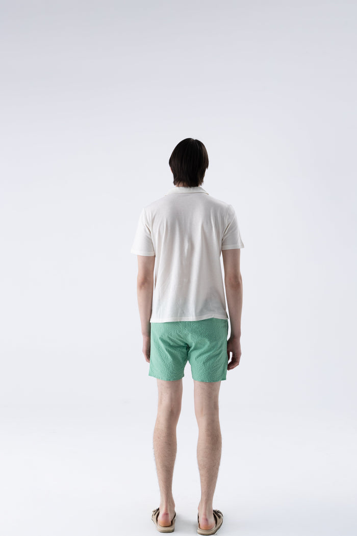 #color_subtle white