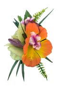 Orange and Purple