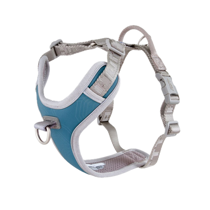 eco-venture-no-pull-dog-harness-bilberry