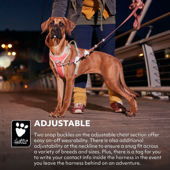 eco-venture-no-pull-dog-harness-bilberry