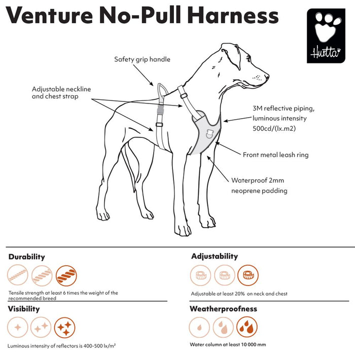 eco-venture-no-pull-dog-harness-bilberry