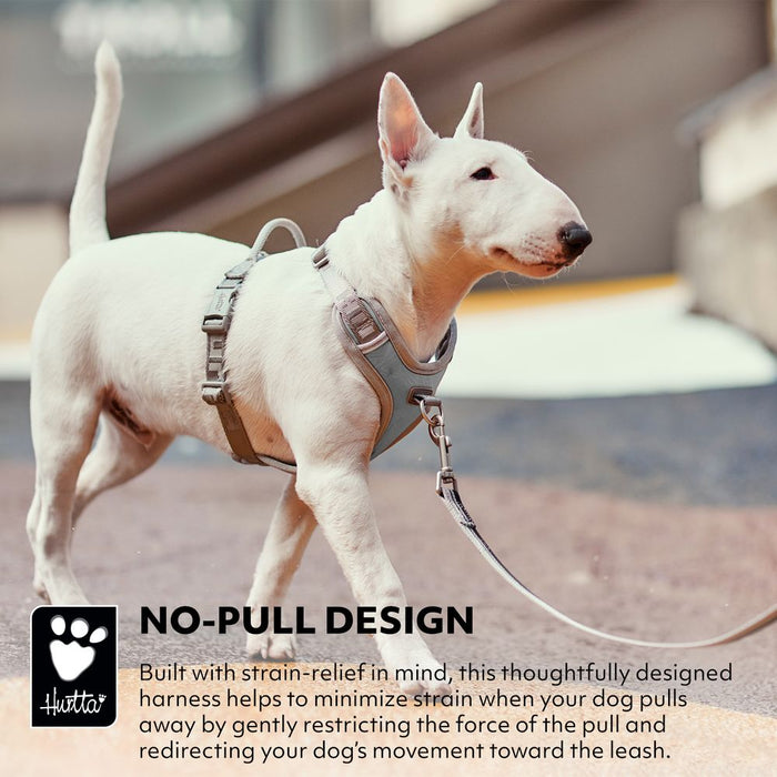 eco-venture-no-pull-dog-harness-bilberry