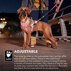eco-venture-no-pull-dog-harness-buckthorn