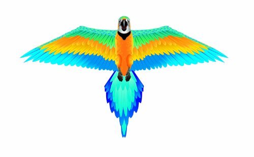 WindnSun Rainforest Nylon Kite - YoYoSam